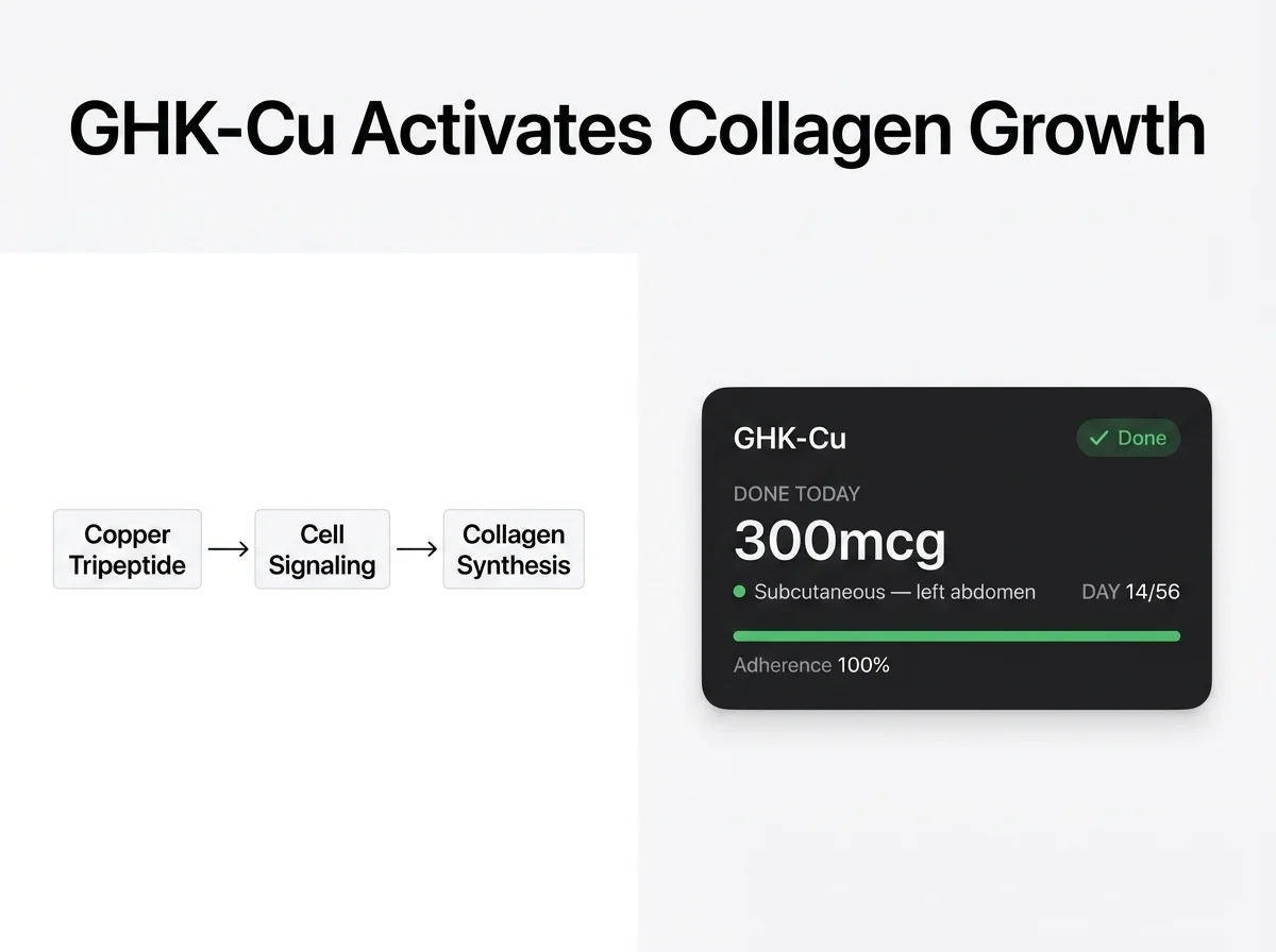 PeptideIQ GHK-Cu peptide protocol tracking infographic showing collagen synthesis mechanism